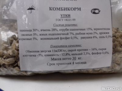 Корм уткам своими руками Корм уткам своими руками