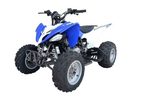 Квадроцикл ATV PANTERA 200 CVT