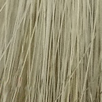 Стойкая крем-краска для волос Aurora (54703, 10.1, пепельный блондин, 60 мл, Коллекция светлых оттенков) Cutrin (Финлянд