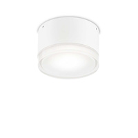 Уличный настенно-потолочный светильник Ideal Lux URANO PL1 SMALL BIANCO 168036