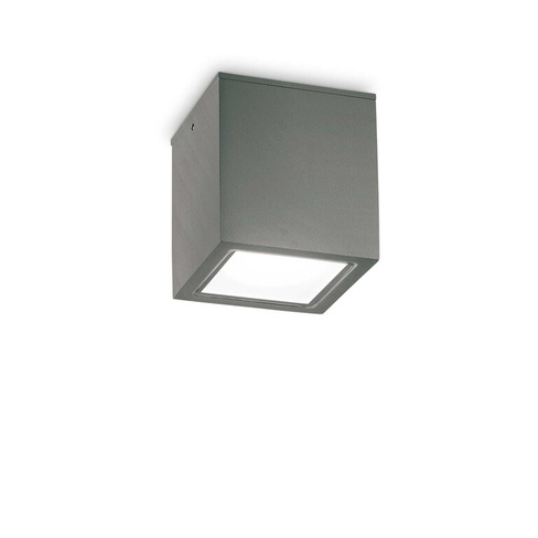 Уличный потолочный светильник Ideal Lux TECHO PL1 BIG ANTRACITE 251516