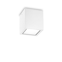 Уличный потолочный светильник Ideal Lux TECHO PL1 BIG BIANCO 251523