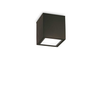 Уличный потолочный светильник Ideal Lux TECHO PL1 SMALL NERO 251578