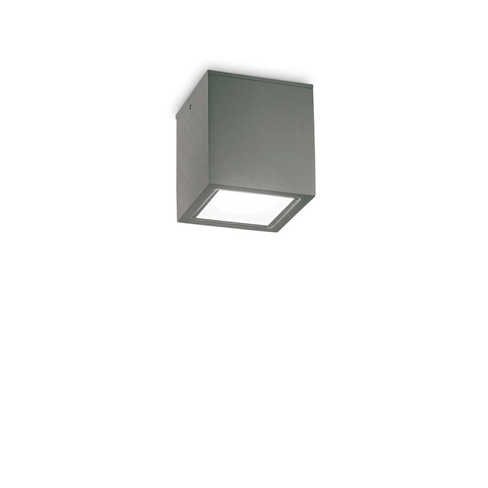 Уличный потолочный светильник Ideal Lux TECHO PL1 SMALL ANTRACITE 251554