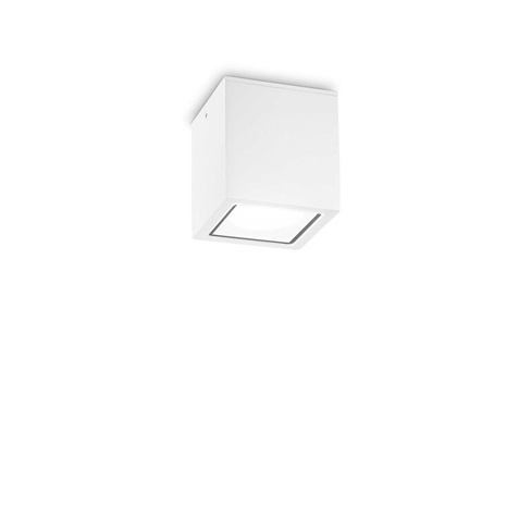 Уличный потолочный светильник Ideal Lux TECHO PL1 SMALL BIANCO 251561
