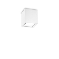Уличный потолочный светильник Ideal Lux TECHO PL1 SMALL BIANCO 251561