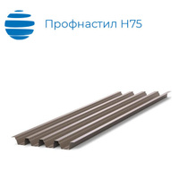 Профнастил Н75 750 ( 800) 1.2 мм ГОСТ