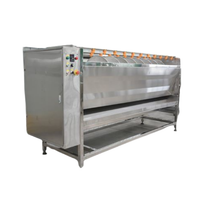 Щёточная мойка для овощей SX2600C Hualian Machinery