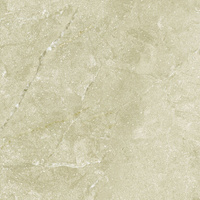 Керамический гранит Eurotile Olimpo GP Natur 41,2x41,2 см Eurotile Ceramica