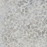 Керамический гранит Eurotile Trinite GP Silver 50х50 см Eurotile Ceramica