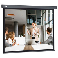 Экран настенно-потолочный рулонный 127x127см Cactus Wallscreen CS-PSW-127X127-SG, 1:1 серый