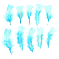 Набор перьев для декора 10 шт., размер 1 шт: 10 × 4 см, цвет голубой No brand